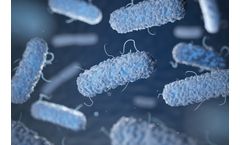 Portable, biosensor-based and digital solutions for food safety sector