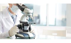 Research Program Services
