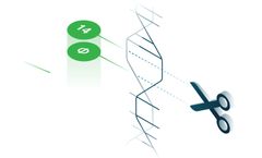 Therapeutic Cures Through CRISPR-Based Precision Editing