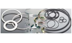 Gasco - Ring Joint Gaskets