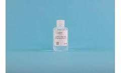 Clarity - High Lipid Embedding Solution