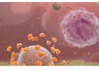 Synovasure - Comprehensive Infection Panels