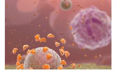 Synovasure - Comprehensive Infection Panels