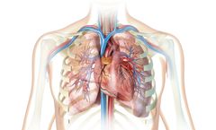 LightDeck - Cardiac Markers