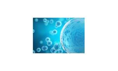 Sword Nuc-Cyte - DNA-Binding Assays