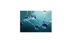 Cell-Based Assays