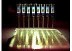 Kephera - Rapid Testing Tools for Infectious Diseases using Novel Immunochemistry