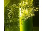 Pro-Lab - Photo Bioreactors