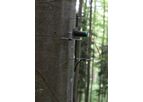 Model ZN12-T-WP - Dendrometer