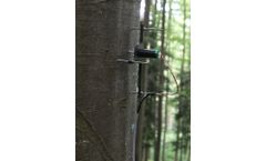 Model ZN12-T-WP - Dendrometer