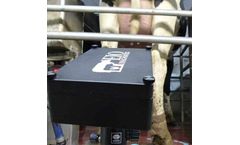 UdderHealth - Automated Mastitis Detection System