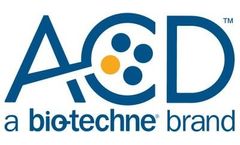 Digital Pathology Image Analysis Services