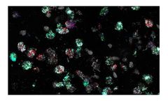 RNAscope - Model HiPlex v2 - Chromogenic Assays