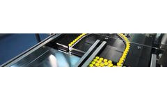 Manufacturers Services