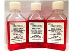 MSC-GRO - Model PC00B3 - VitroPlus III - Serum-Free Medium: 500mL
