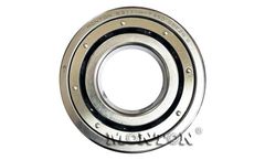 Monton - LNG Pump Bearings