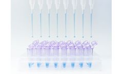 Microbiology for Molecular Diagnostics, Real-Time PCR