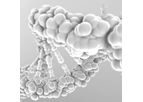 Molecular Counting Technology