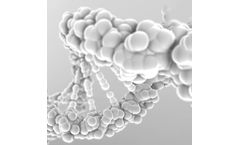 Molecular Counting Technology