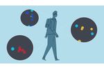 The Adaptive Immune System: A Primer - Video