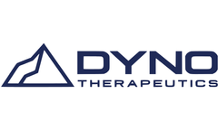 Introduction to AAV as a Gene Therapy Vector, Part 2