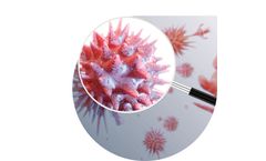 Bag - Model ViroQ SC2 Variant - SARS CoV-2 Differentiation Kit