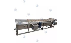 Taizy Machinery - Fruit and vegetable washing plant