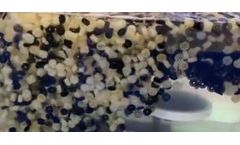 moving bed biofilm reactor (mbbr)