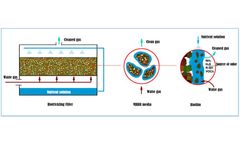 Biotrickling odor removal for exhaust gas treatment