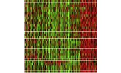 GeneCentric - Lung Cancer Profilers (LSP)