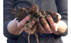 Manure Treatment Services