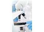 Immunotherapy for the Treatment of Kidney Cancer and Targets Stage 4 Renal Cell Carcinoma