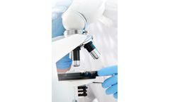 Immunotherapy for the Treatment of Kidney Cancer and Targets Stage 4 Renal Cell Carcinoma