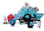 Wenta - Steam Boilers with Solid Fuel and Self-Stoker