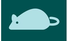 Bioporto - Mouse NGAL ELISA Kit