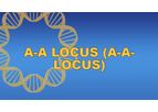 A-A Locus (A-A-Locus)