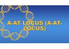 A-At Locus (A-At-Locus)