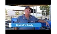 Stress-free Sheep Auto Drafting for Burrawang Dorper Stud - Video