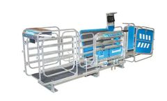 Racewell - Sheep Handlers