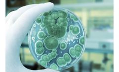 RMBNucleus - Mold Alarm Software