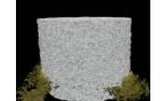 Bone ingrowth in NRC Ti Foam - Video