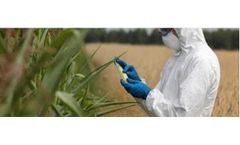 Transgenic Plants Based on htDNA-chip®