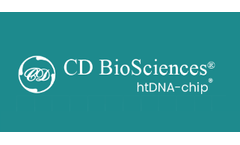 CD BioSciences - Recombinant Antibodies Based on htDNA-chip®