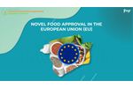 Novel Food Approval In The European Union (EU) - Video