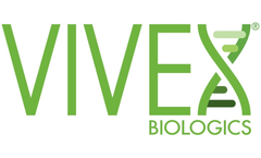 VIA Fill - Demineralized Bone Fibers Designed for Use in Bone Remodeling