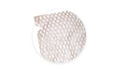 CYGNUS - Model MAX XL - Fenestrated Natural Thickness Allograft