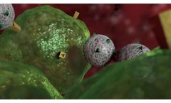 Light-Activated Intracellular Acidosis (LAIA) by Vitanova Biomedical Video