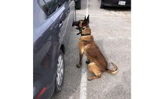 Narcotics Explosives Firearm Detection Services