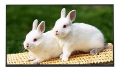 Huayuan - Model VISLCD-13.3HY171A - LED Display Panels