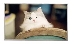 Huayuan - Model VISLCD-23.8HY171A - LED Display Panels